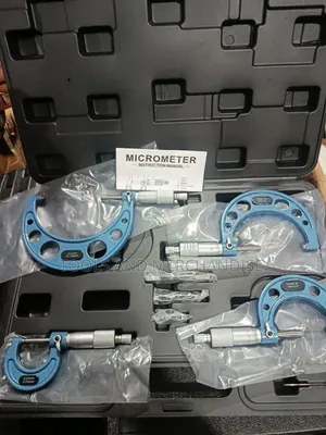 Micrometer Crew Guage Set (0-100mm)
