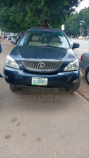 Lexus RX 2007 Gray