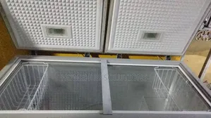 500L Nexus Double Door Freezer at Ajah