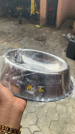 Dog Feeding Bowl