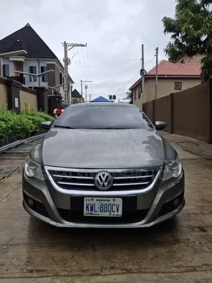Volkswagen Passat 2010 Gray