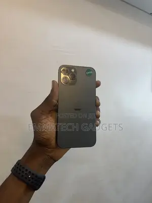 Apple iPhone 12 Pro Max 128 GB Gray
