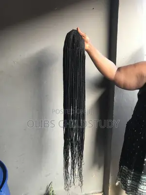 Braided Wig for Sale