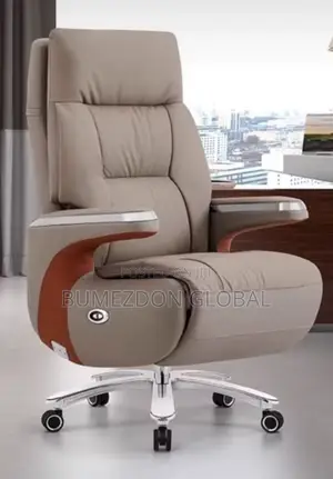 Executive Electric Chair