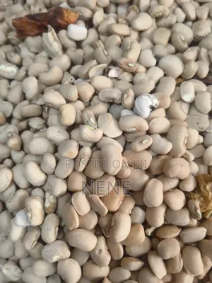 Clean Honey Beans