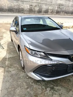 Toyota Camry LE (2.5L 4cyl 8A) 2019 Gray