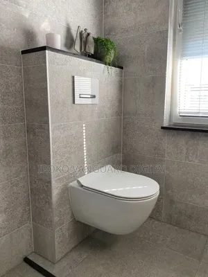 Professional Plumber - Home Fittings, Overhead Tank Toilet Repairs