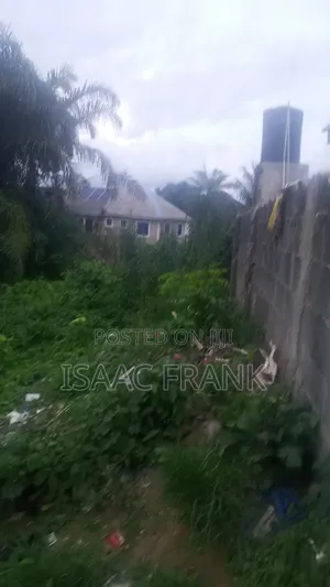 Half Plot of Land