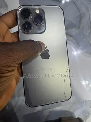 Apple iPhone 13 256 GB Gray