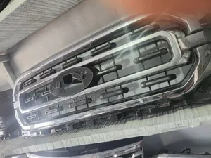 Stainless Front Grill and Raptor Model Ford F150 2020 Avaliable