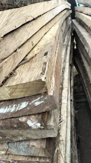 Abora Wood Planks
