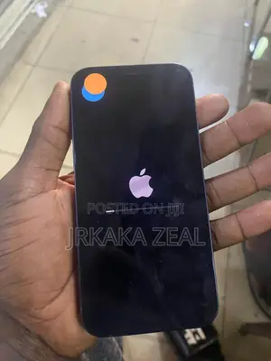 Apple iPhone 12 64 GB Gray