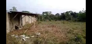 1574.754sqm Land for Sale at Ago-Iwoye