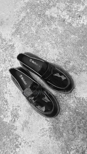 Loafers Shoes