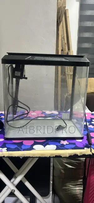 Glass Fish Tank