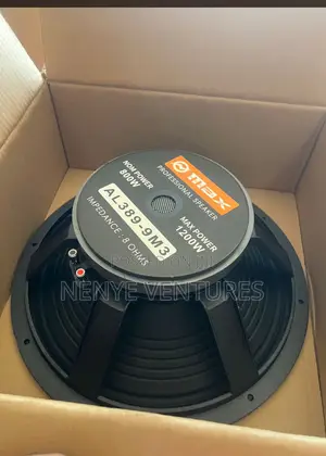 15” Naked Speaker Head