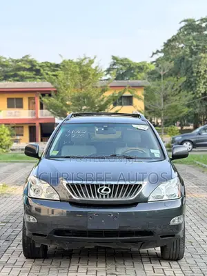 Lexus RX 350 AWD 2009 Gray