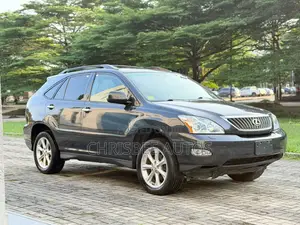 Lexus RX 350 AWD 2009 Gray