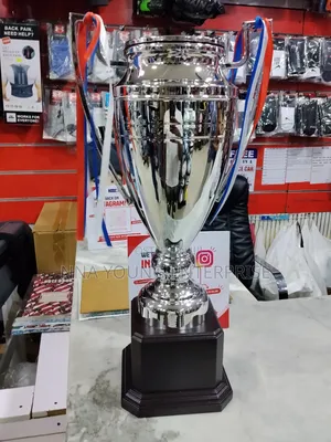 Trophy Large Silver-Plated Sports