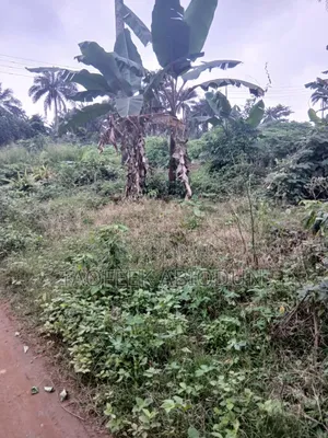 15 Acres of Farms Land at Ajibandele Ibokun Oriade Area for Sale