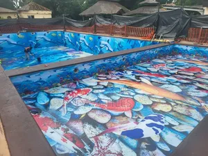 3d Epoxy Swimming Pool