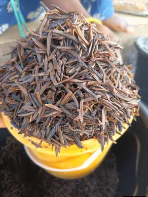 Dehydrated Ugba