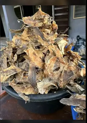 Stock Fish Ear
