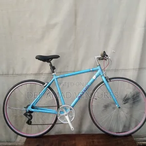 Alton Fitness Road Bicycle