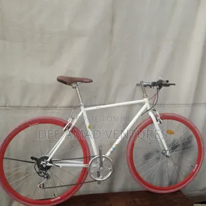 Adult Sports Bicycle