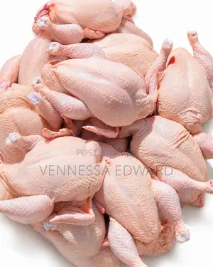 Freshly Processed Chicken – Kg