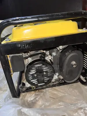Senwei Generator
