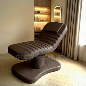 Electrical Beauty and Tattoo Bed