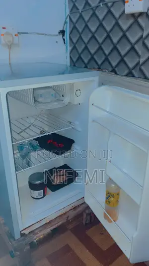Big Bed Side Fridge