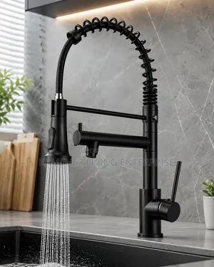Luxury Black Pull-Down Kitchen Faucet
