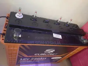 7month Used 220A 12V Tubular Battery