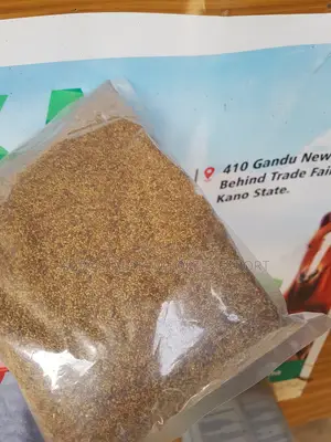Alfalfa Grass Seed 1kg Pack