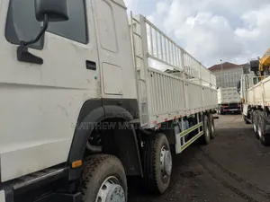 Super Clean Foreign Used Howo Truck 12 Tires
