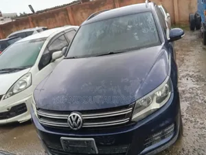 Volkswagen Tiguan 2012 Blue
