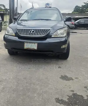 Lexus RX 2006 Gray