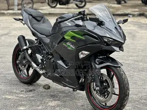 New Kawasaki 2026 Gray