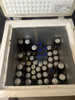 Bosch 120l Freezer