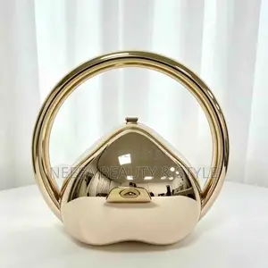 Acrylic Dinner Clutch
