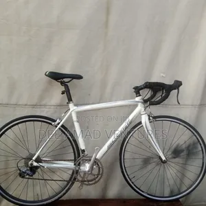 Professional Sports Road Bike