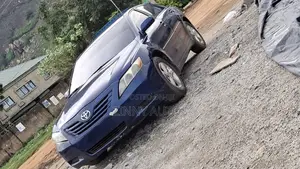 Toyota Camry 2009 Blue
