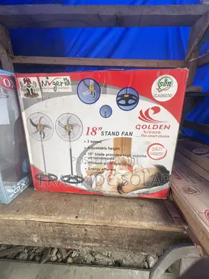 Golden Breeze Standing Fan