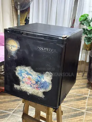 POLYSTAR Mini Fridge