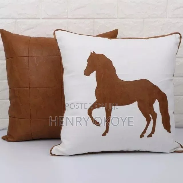 Cushion Pillows