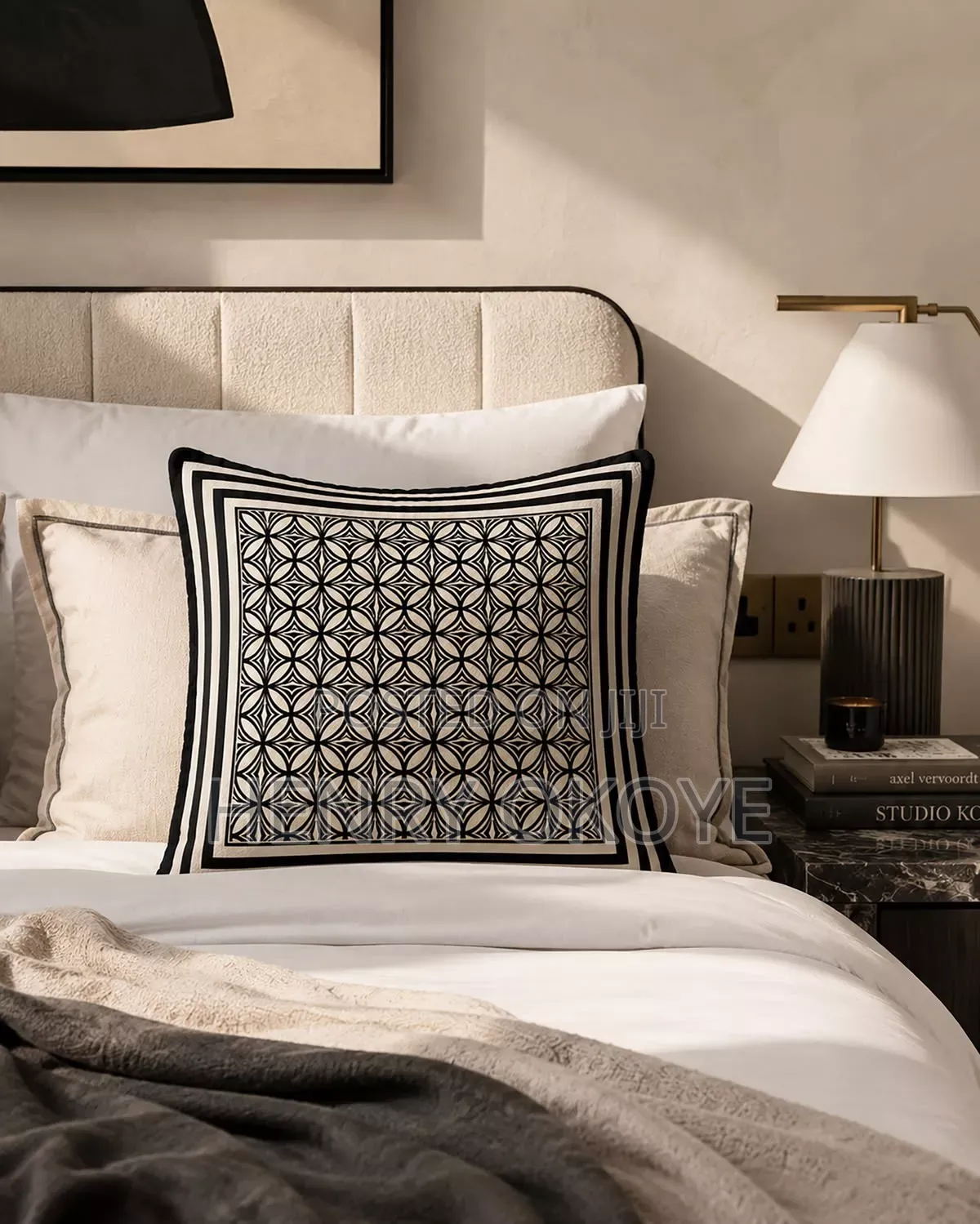 Cushion Pillows