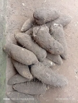Benue Sweet Yams