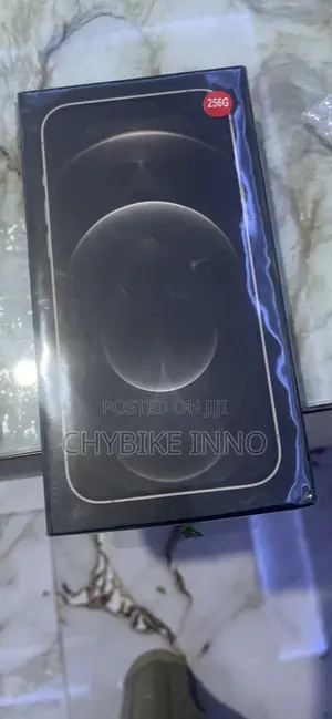 New Apple iPhone 12 Pro Max 256 GB Gray